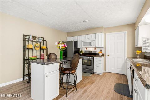 Tiny photo for 1178 Powell Valley Shores Circle, Speedwell, TN 37870 (MLS # 1337972)