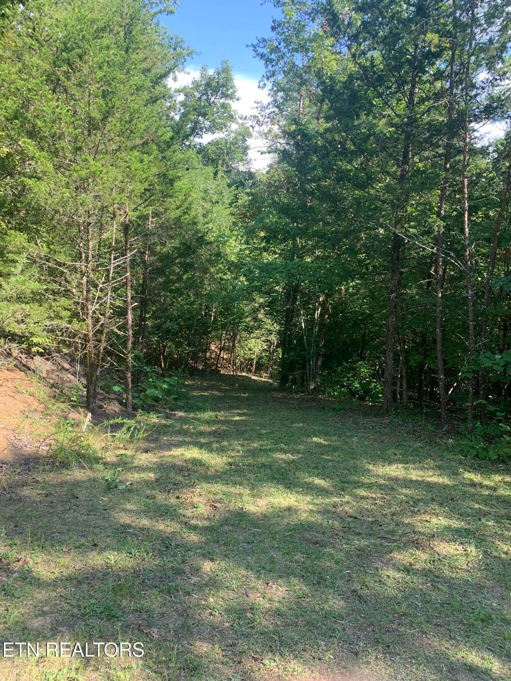 Photo of Vera Lane, Dandridge, TN 37725 (MLS # 1312661)