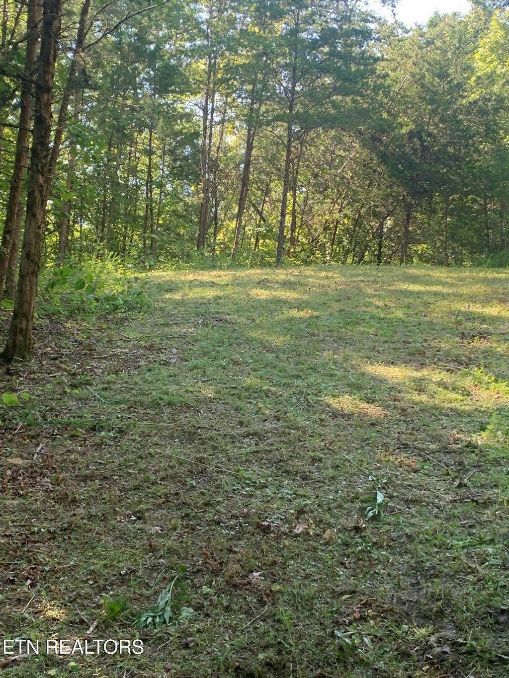 Photo of Vera Lane, Dandridge, TN 37725 (MLS # 1312661)