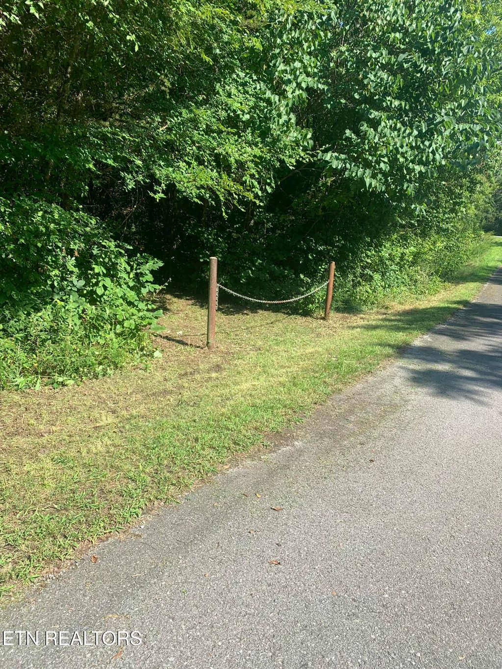 Photo of Vera Lane, Dandridge, TN 37725 (MLS # 1312661)