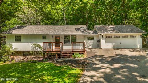 Photo of 165 Lenz Drive, Kodak, TN 37764 (MLS # 1341913)