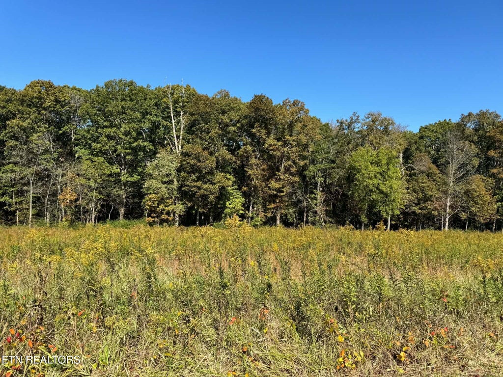 Photo of Golliher Rd, Rockwood, TN 37854 (MLS # 1358798)