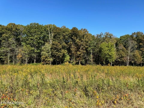 Photo of Golliher Rd, Rockwood, TN 37854 (MLS # 1358798)