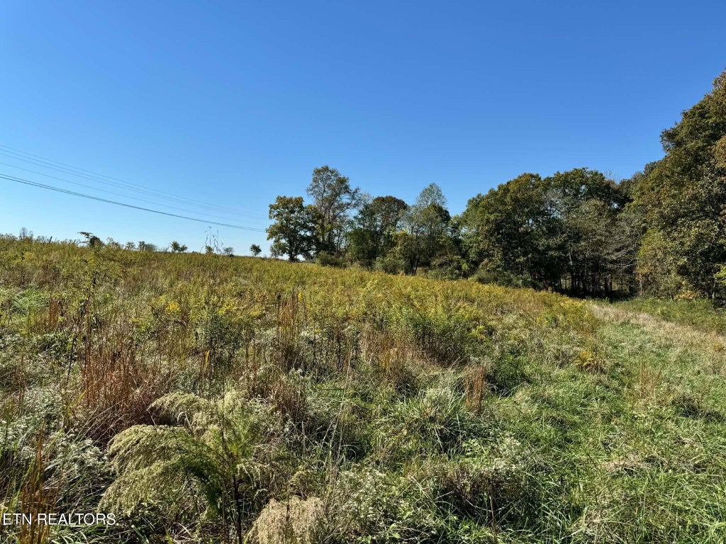 Photo of Golliher Rd, Rockwood, TN 37854 (MLS # 1358798)