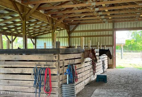 Tiny photo for 786 Swan Pond Circle Rd, Harriman, TN 37748 (MLS # 1331141)