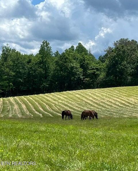 Tiny photo for 786 Swan Pond Circle Rd, Harriman, TN 37748 (MLS # 1331141)