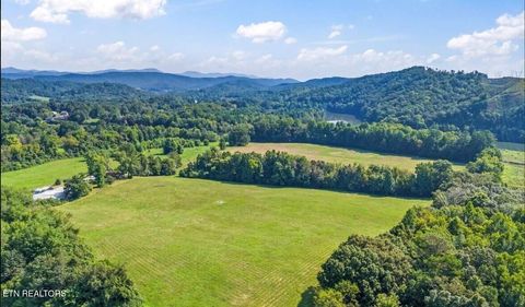 Tiny photo for 786 Swan Pond Circle Rd, Harriman, TN 37748 (MLS # 1331141)