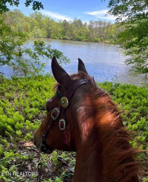 Tiny photo for 786 Swan Pond Circle Rd, Harriman, TN 37748 (MLS # 1331141)