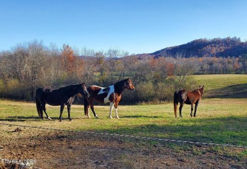 Tiny photo for 786 Swan Pond Circle Rd, Harriman, TN 37748 (MLS # 1331141)