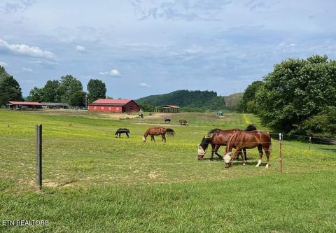 Tiny photo for 786 Swan Pond Circle Rd, Harriman, TN 37748 (MLS # 1331141)