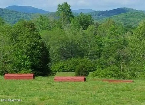 Tiny photo for 786 Swan Pond Circle Rd, Harriman, TN 37748 (MLS # 1331141)