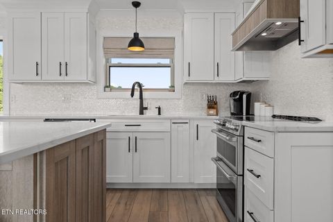 Tiny photo for 272 Russell Ave, Spring City, TN 37381 (MLS # 1319985)