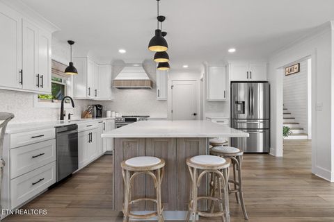 Tiny photo for 272 Russell Ave, Spring City, TN 37381 (MLS # 1319985)