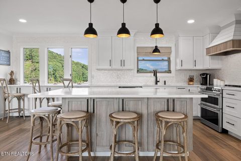 Tiny photo for 272 Russell Ave, Spring City, TN 37381 (MLS # 1319985)