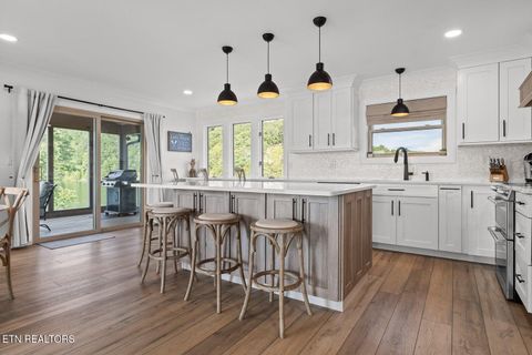 Tiny photo for 272 Russell Ave, Spring City, TN 37381 (MLS # 1319985)