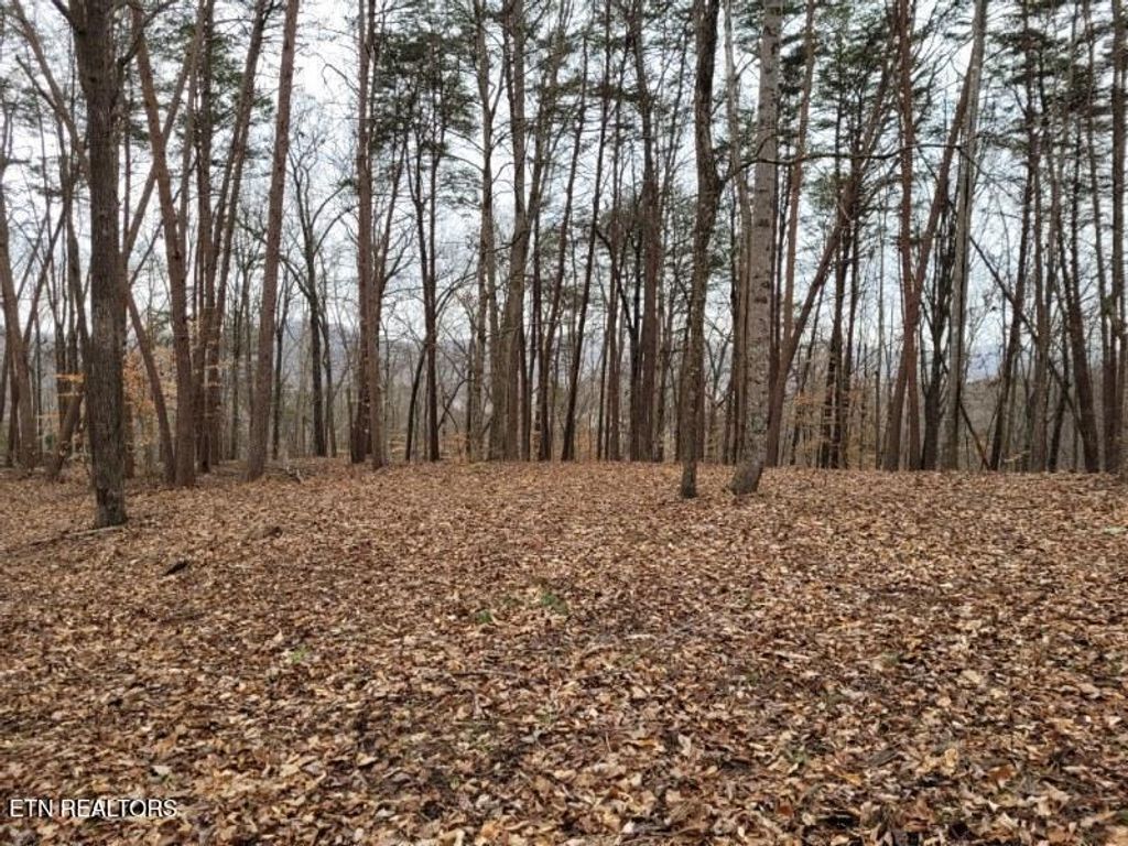 Photo of Lot 146 &amp; 147 Lakeview Drive, Sharps Chapel, TN 37866 (MLS # 1311025)