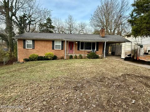 Photo of 2516 Wayland Ave, Knoxville, TN 37914 (MLS # 1323414)