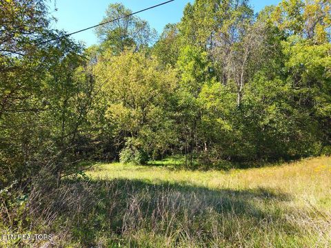 Tiny photo for 1872 Ferguson Ridge Rd, Tazewell, TN 37879 (MLS # 1325886)