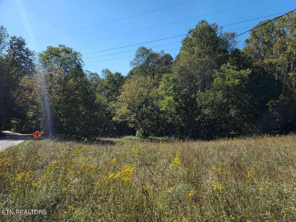 Photo of 1872 Ferguson Ridge Rd, Tazewell, TN 37879 (MLS # 1325886)