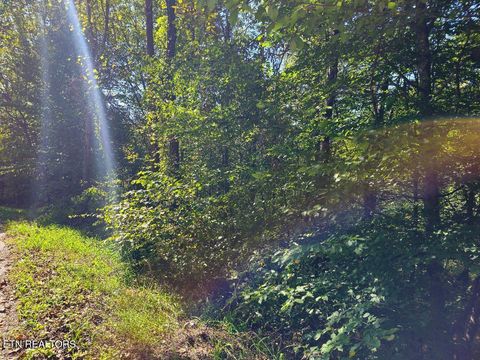 Tiny photo for 1872 Ferguson Ridge Rd, Tazewell, TN 37879 (MLS # 1325886)