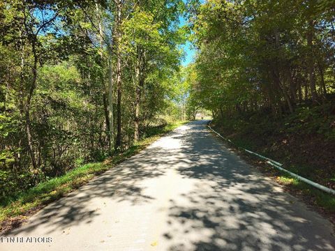 Tiny photo for 1872 Ferguson Ridge Rd, Tazewell, TN 37879 (MLS # 1325886)