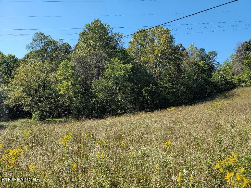 Photo of 1872 Ferguson Ridge Rd, Tazewell, TN 37879 (MLS # 1325886)