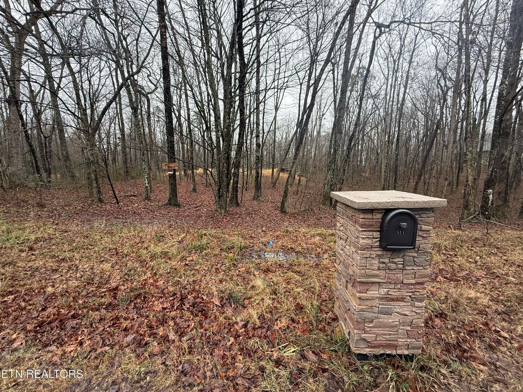 Photo of 551 Cliff Park Rd, Monterey, TN 38574 (MLS # 1332200)