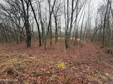 Photo of 551 Cliff Park Rd, Monterey, TN 38574 (MLS # 1332200)