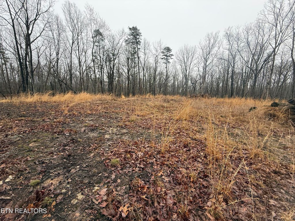 Photo of 551 Cliff Park Rd, Monterey, TN 38574 (MLS # 1332200)