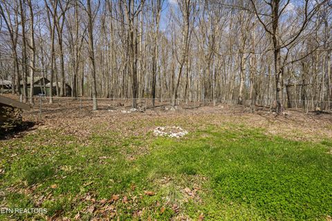 Tiny photo for 211 Club House Drive, Andersonville, TN 37705 (MLS # 1334218)