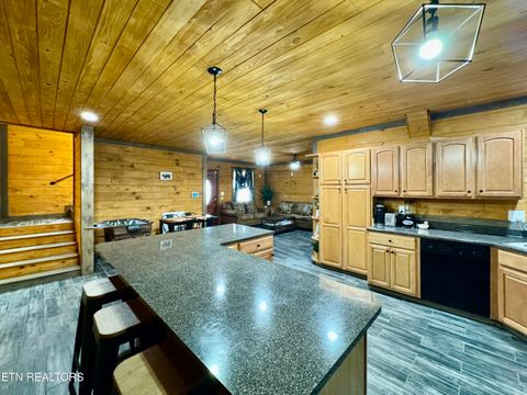 Tiny photo for 1908 Inskip Lane, Dandridge, TN 37725 (MLS # 1333064)