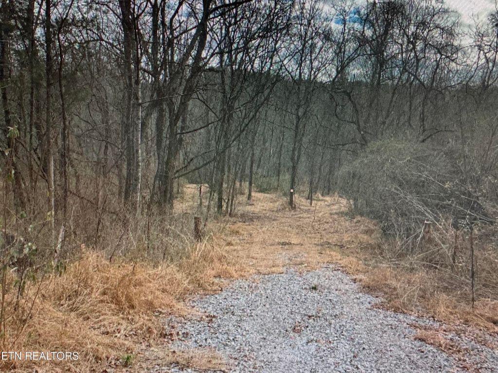 Photo of 2939 Miser Station Rd, Louisville, TN 37777 (MLS # 1245234)