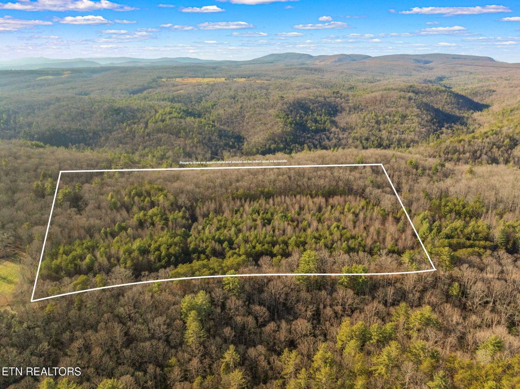 Photo of Grievers Chapel Rd, Rockwood, TN 37854 (MLS # 1286286)