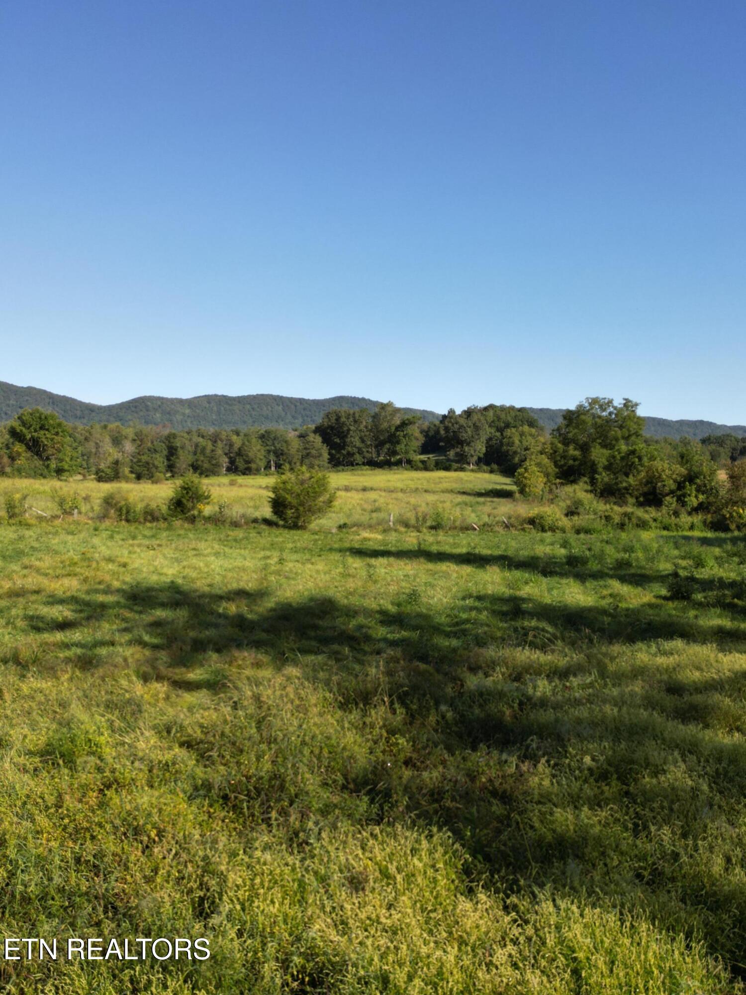 317 Singleton Hollow Rd lot 3