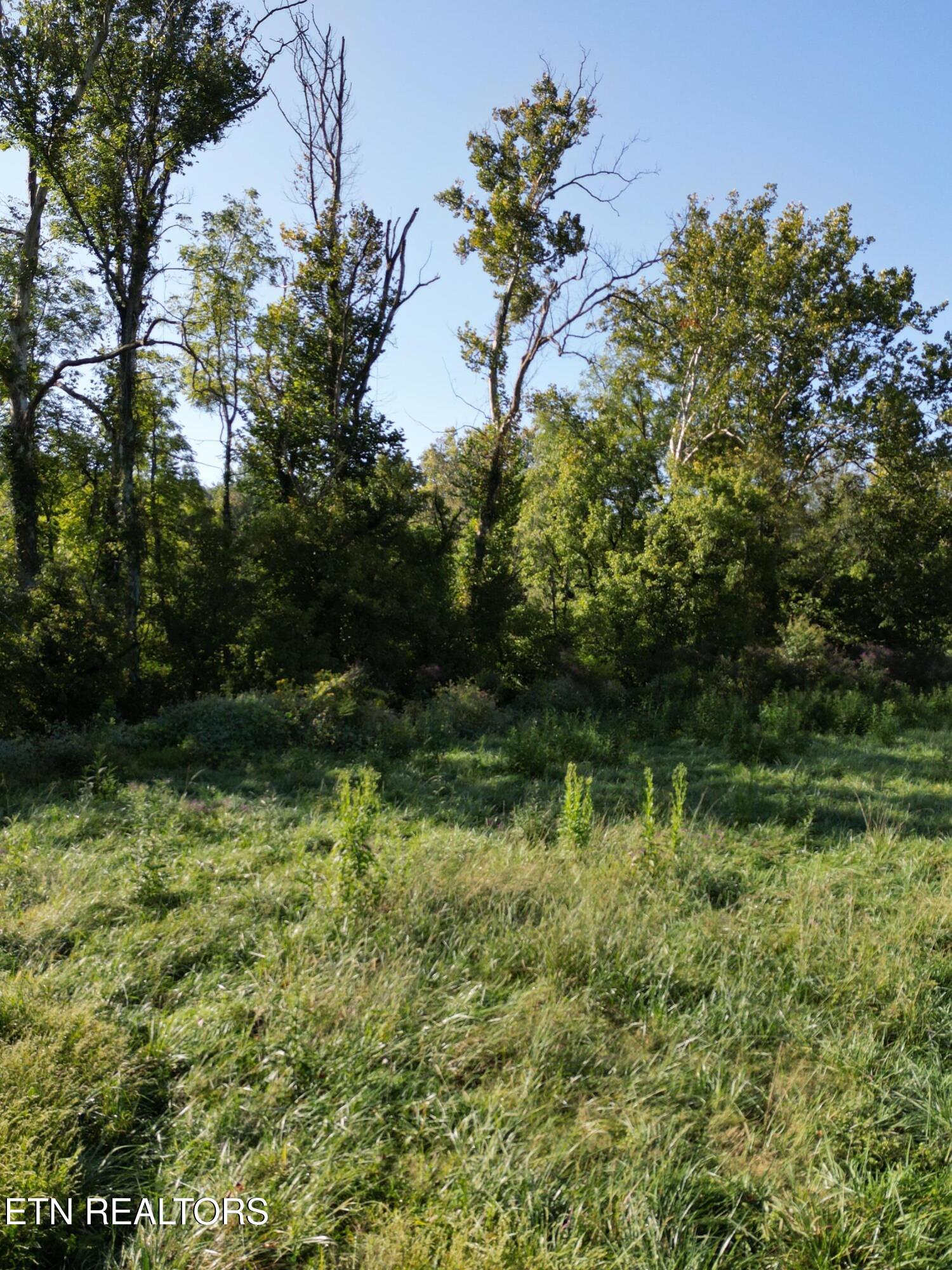 317 Singleton Hollow Rd lot 3