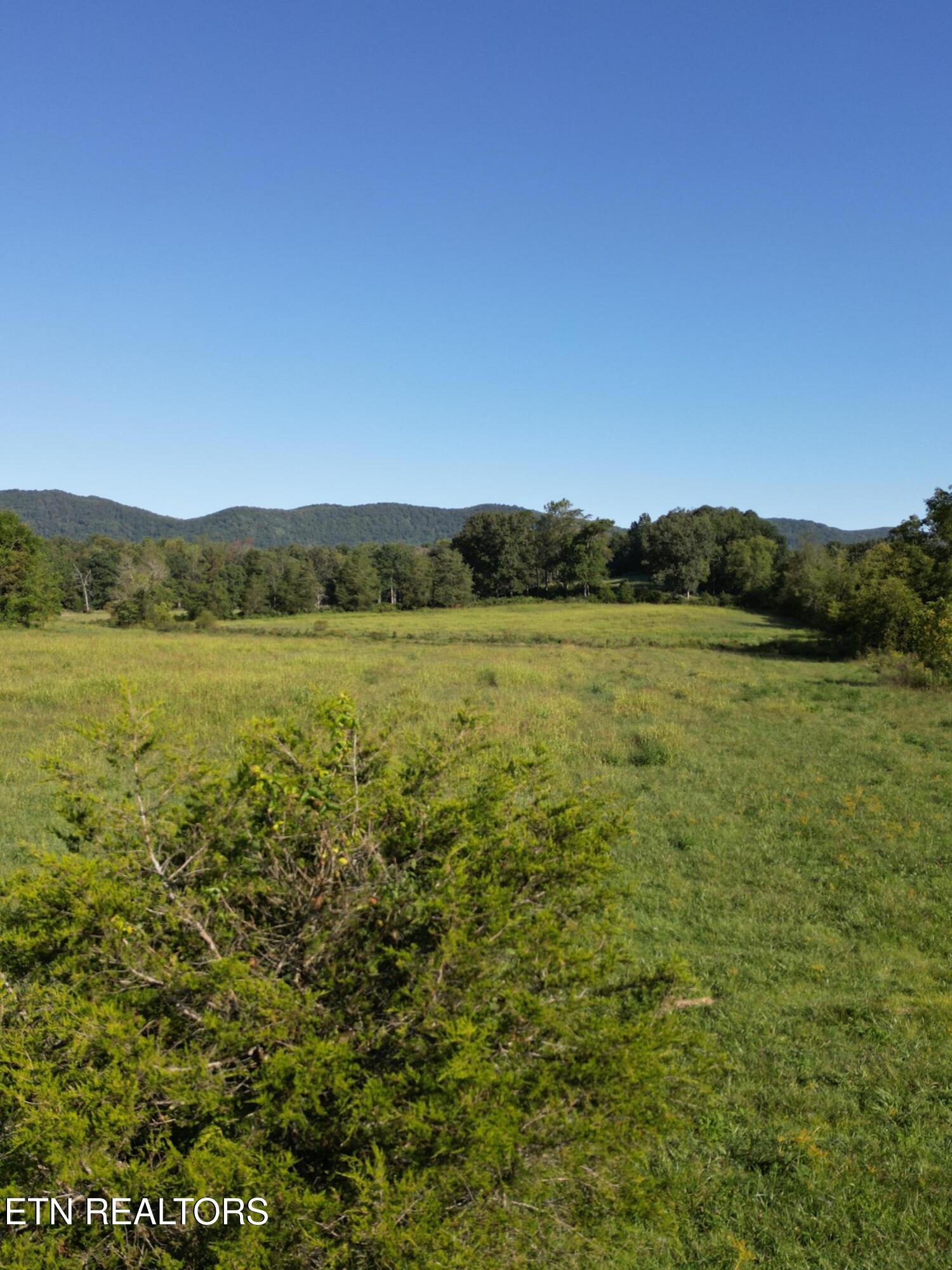 317 Singleton Hollow Rd lot 3