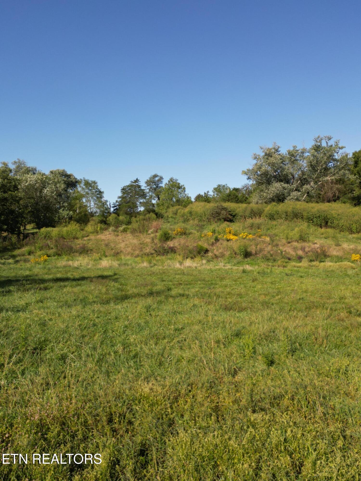 317 Singleton Hollow Rd lot 3