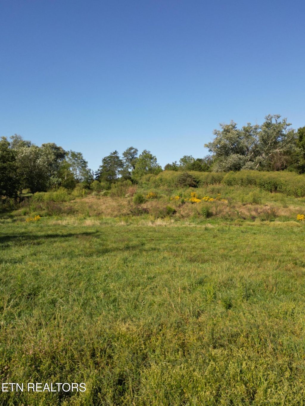 Photo of 317 Singleton Hollow Rd #lot 3, Speedwell, TN 37870 (MLS # 1314931)