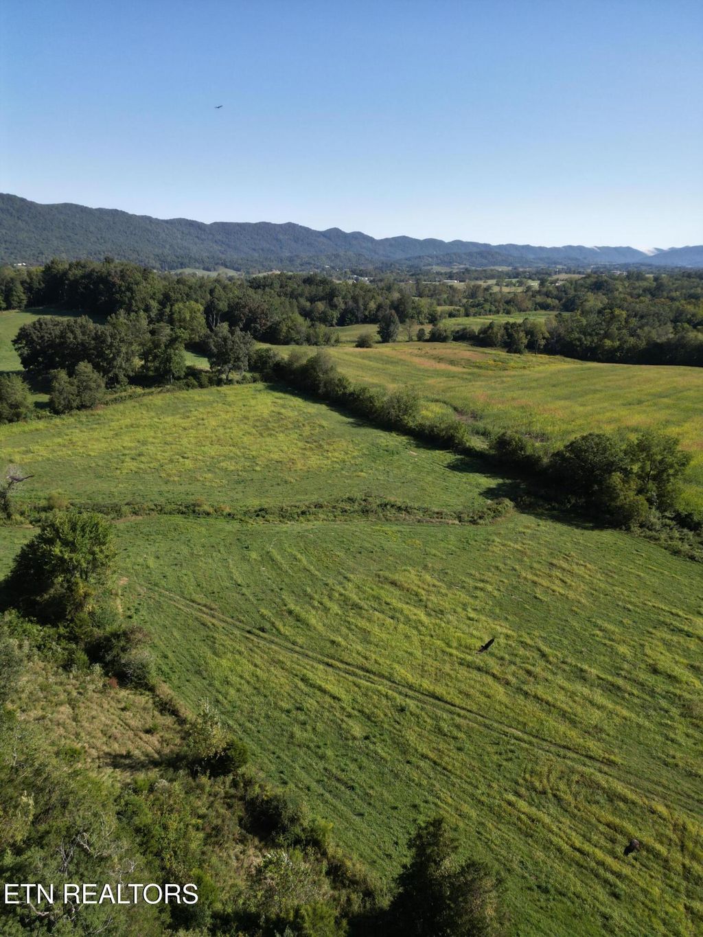 Photo of 317 Singleton Hollow Rd #lot 3, Speedwell, TN 37870 (MLS # 1314931)