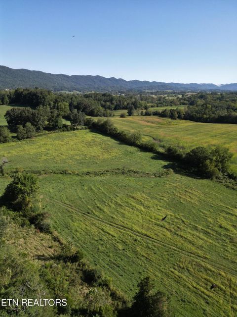 317 Singleton Hollow Rd lot 3 Speedwell TN 37870