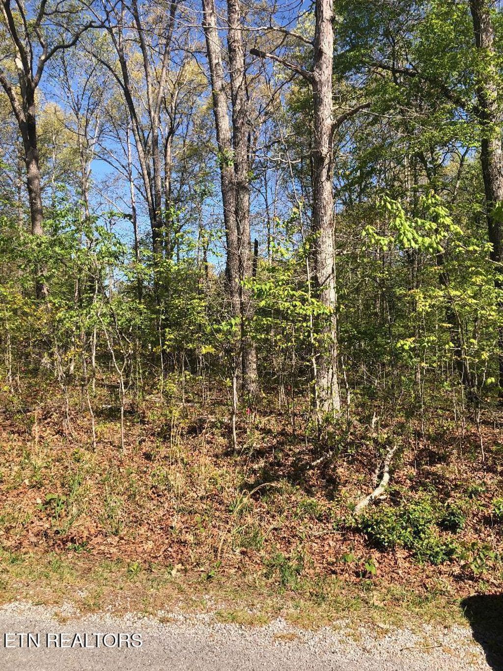 Photo of 4027 Chica Rd, Crossville, TN 38572 (MLS # 1337830)