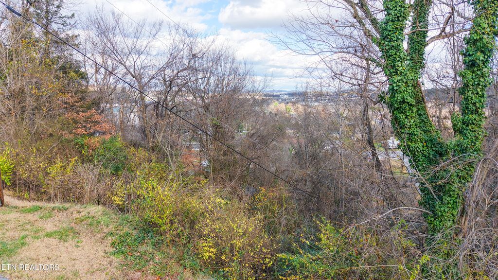 Photo of 25 Scenic Loop Rd, Pigeon Forge, TN 37863 (MLS # 1323955)