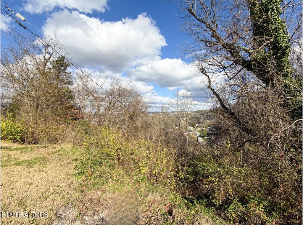 Photo of 25 Scenic Loop Rd, Pigeon Forge, TN 37863 (MLS # 1323955)