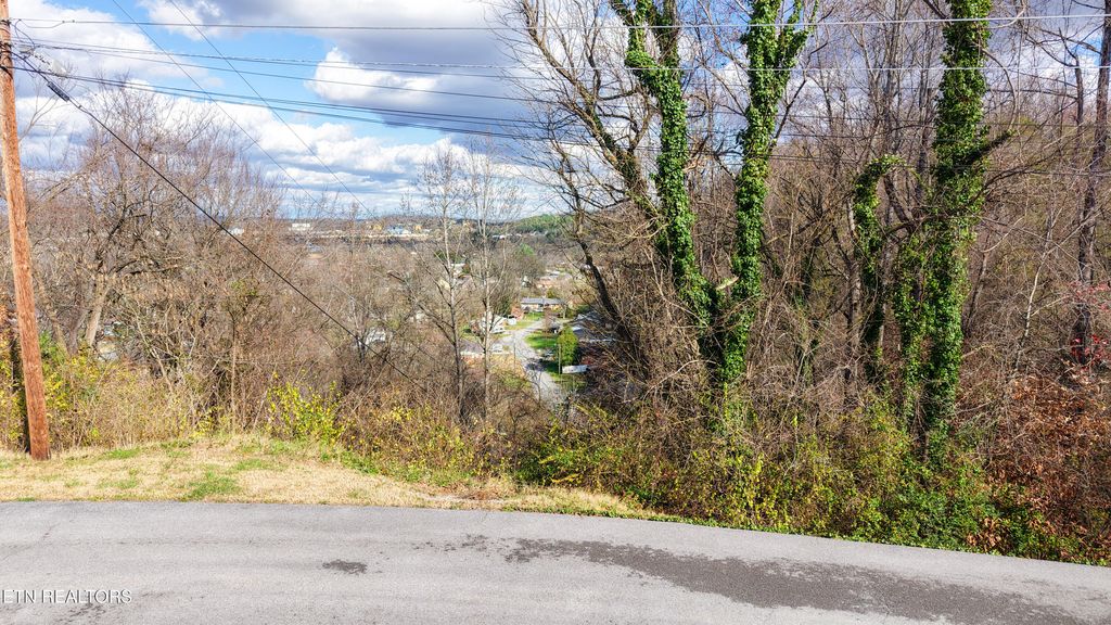 Photo of 25 Scenic Loop Rd, Pigeon Forge, TN 37863 (MLS # 1323955)