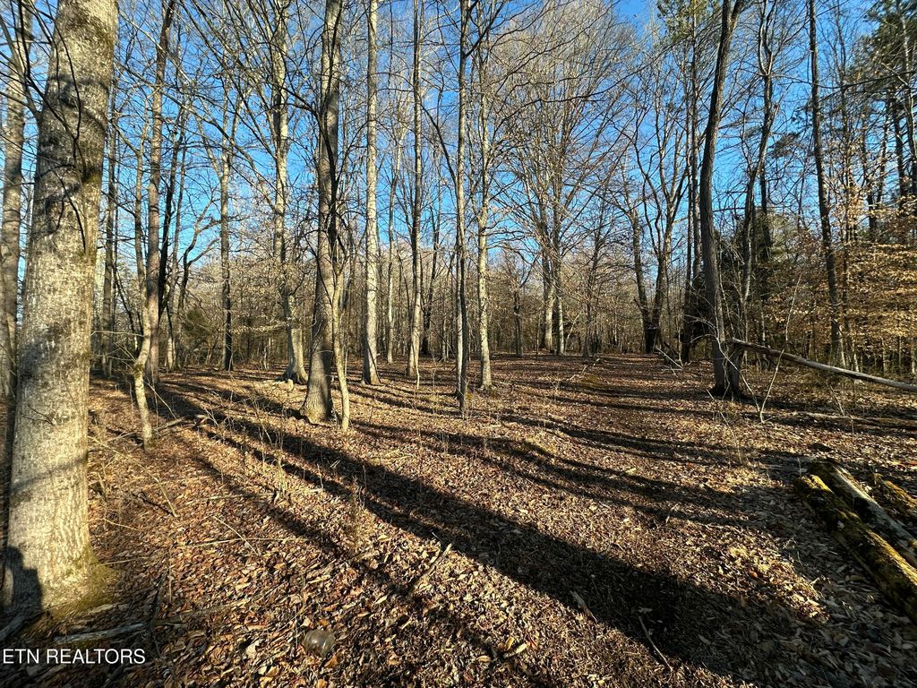 Photo of 616 N Wooddale Rd, Knoxville, TN 37924 (MLS # 1329330)