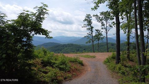 Chamberlain Ln Lane Sevierville TN 37862