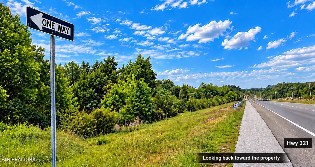 Photo of Bluejay St, Parrottsville, TN 37843 (MLS # 1339807)