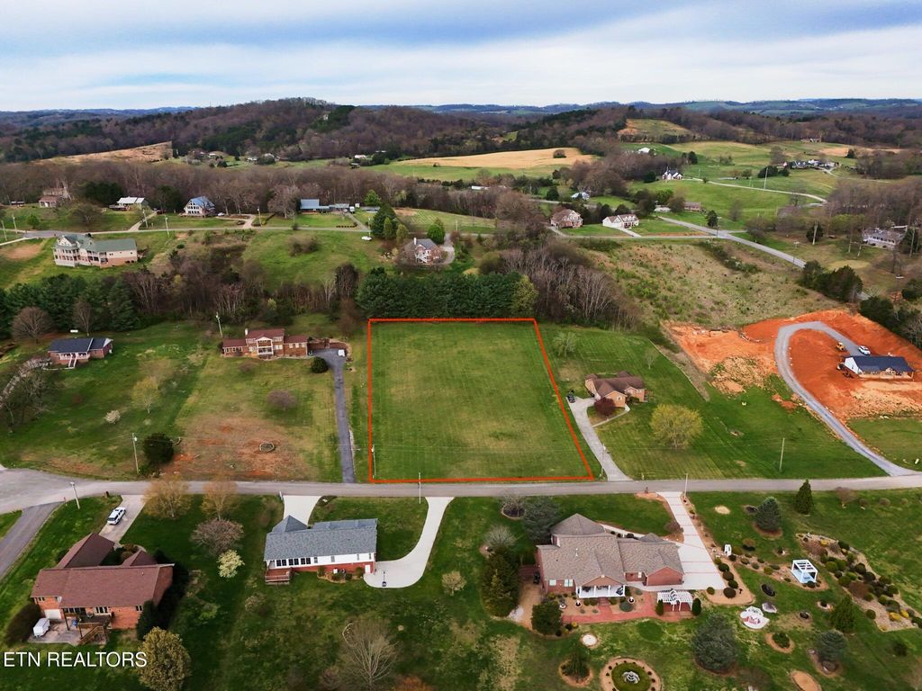 Photo of 608 Cornfield Lane, White Pine, TN 37890 (MLS # 1334091)