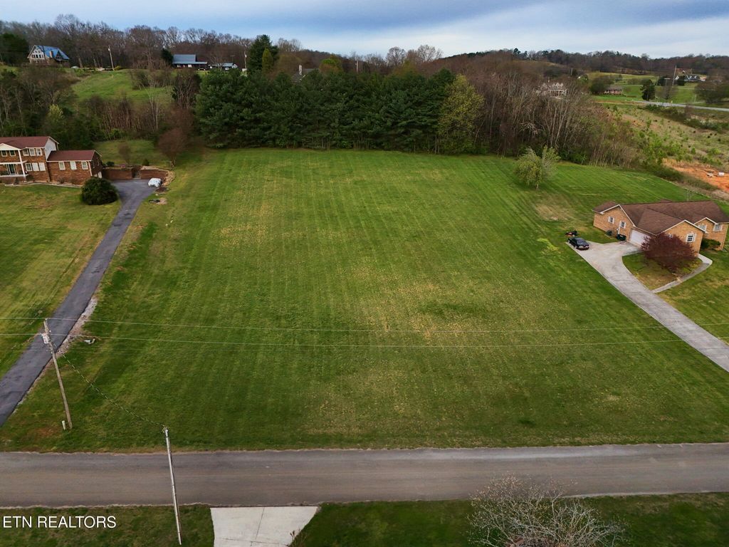Photo of 608 Cornfield Lane, White Pine, TN 37890 (MLS # 1334091)
