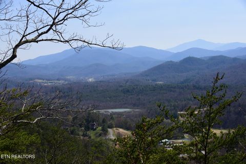 Tiny photo for 1148 Laurel Rd, Townsend, TN 37882 (MLS # 1329409)